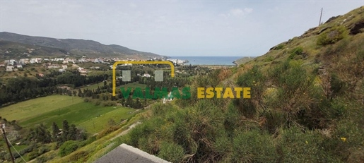 (À vendre) Maison Maison maison || Cyclades/Andros Pays - 400 m2, 300.000€