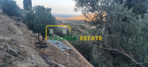 (For Sale) Land Plot wIthin Settlement || Cyclades/Andros Chora - 822 Sq.m, 90.000€