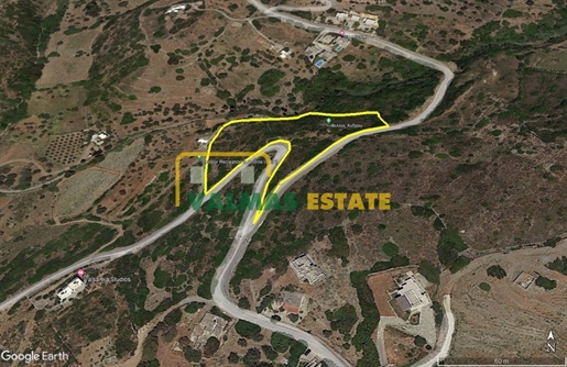 567956 - Land plot For sale, Andros, 11.514 sq.m., €200.000