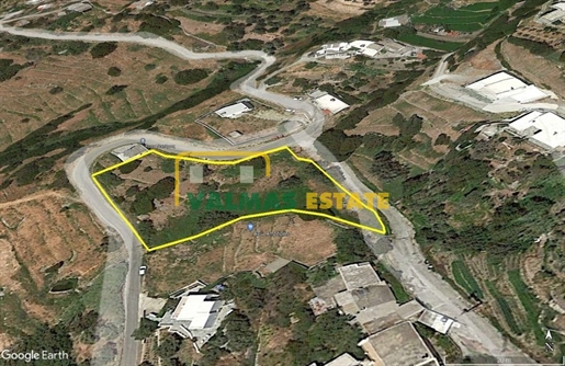 (For Sale) Land Plot || Cyclades/Andros-Hydrousa - 2.501 Sq.m, 250.000€