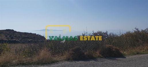 (For Sale) Commercial Warehouse || Cyclades/Andros Chora - 84 Sq.m, 90.000€