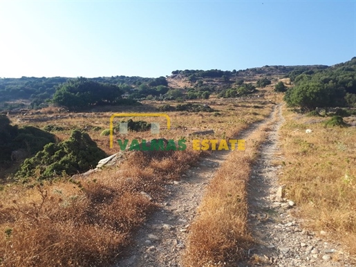(À vendre) Parcelle de terrain utilisable || Cyclades/Andros Chora - 11.000 m², 110.000€