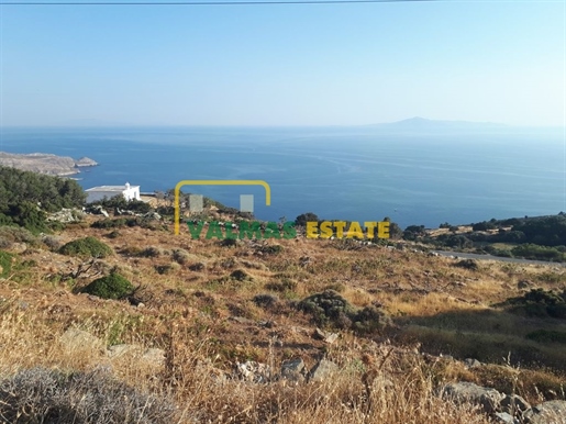 (For Sale) Land Agricultural Land || Cyclades/Andros Chora - 11.000 Sq.m, 110.000€