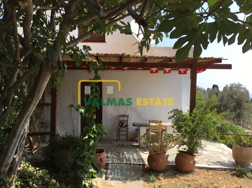 (For Sale) Residential Detached house || Cyclades/Andros Chora - 110 Sq.m, 2 Bedrooms, 150.000€