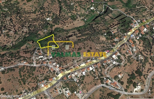 (For Sale) Land Agricultural Land || Cyclades/Andros Chora - 4.135 Sq.m, 60.000€