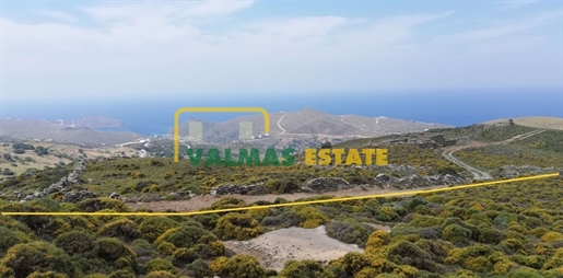 567959 - Parcel/Land Field For sale, Andros, 29.261 sq.m., €230.000