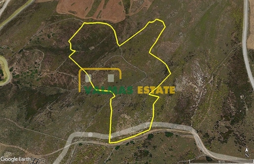 567959 - Parcel/Land Field For sale, Andros, 29.261 sq.m., €230.000