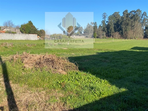 Field with 4000sqm of area for constrution - Seixezelo