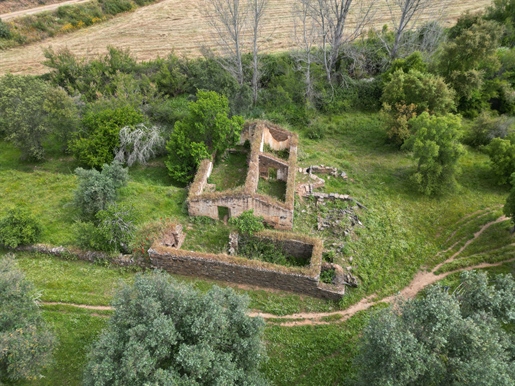 Colline typique de l’Alentejo à récupérer à Almodôvar