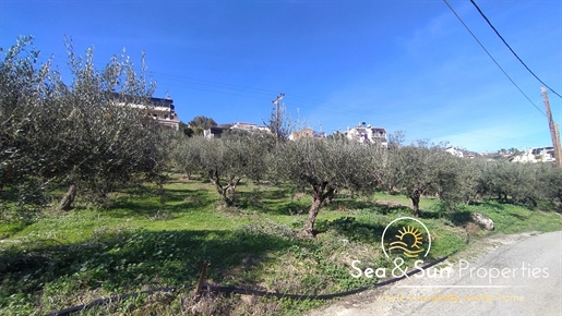 An Excellent Plot with Olive Trees in Stalos (Half)