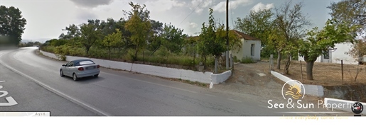 Un grand terrain à Therisos, Agia