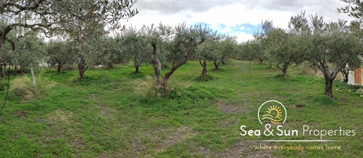 Un terrain incroyable avec vue et oliviers à Kissamos, Merada