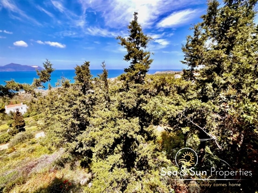 A great piece of land in Kokkino Chorio.