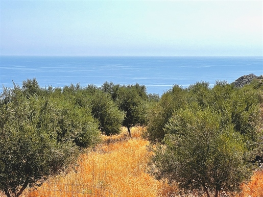 Ein erstklassiges Grundstück mit Panoramablick auf das Meer in Kefalas zum Schnäppchenpreis