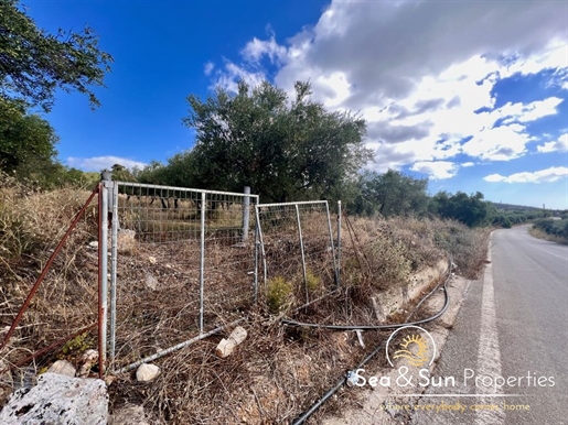 A privileged piece of land with unobstructed mountain views in Apokoronas