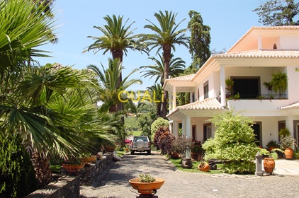 Луксозна ферма T6 във Фуншал с изглед към морето и планините - остров Мадейра - € 3 500 000.00