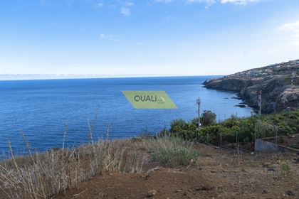 Terreno em Gaula - Ilha da Madeira - €280.000,00