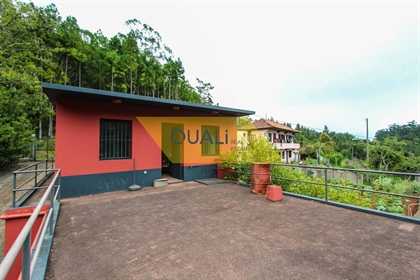 House with 4960 square meters of land in Santo da Serra, Machico - € 260,000.00