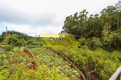 Terreno Misto de 4690 m2 no Santo da Serra, Ilha da Madeira - €260.000,00