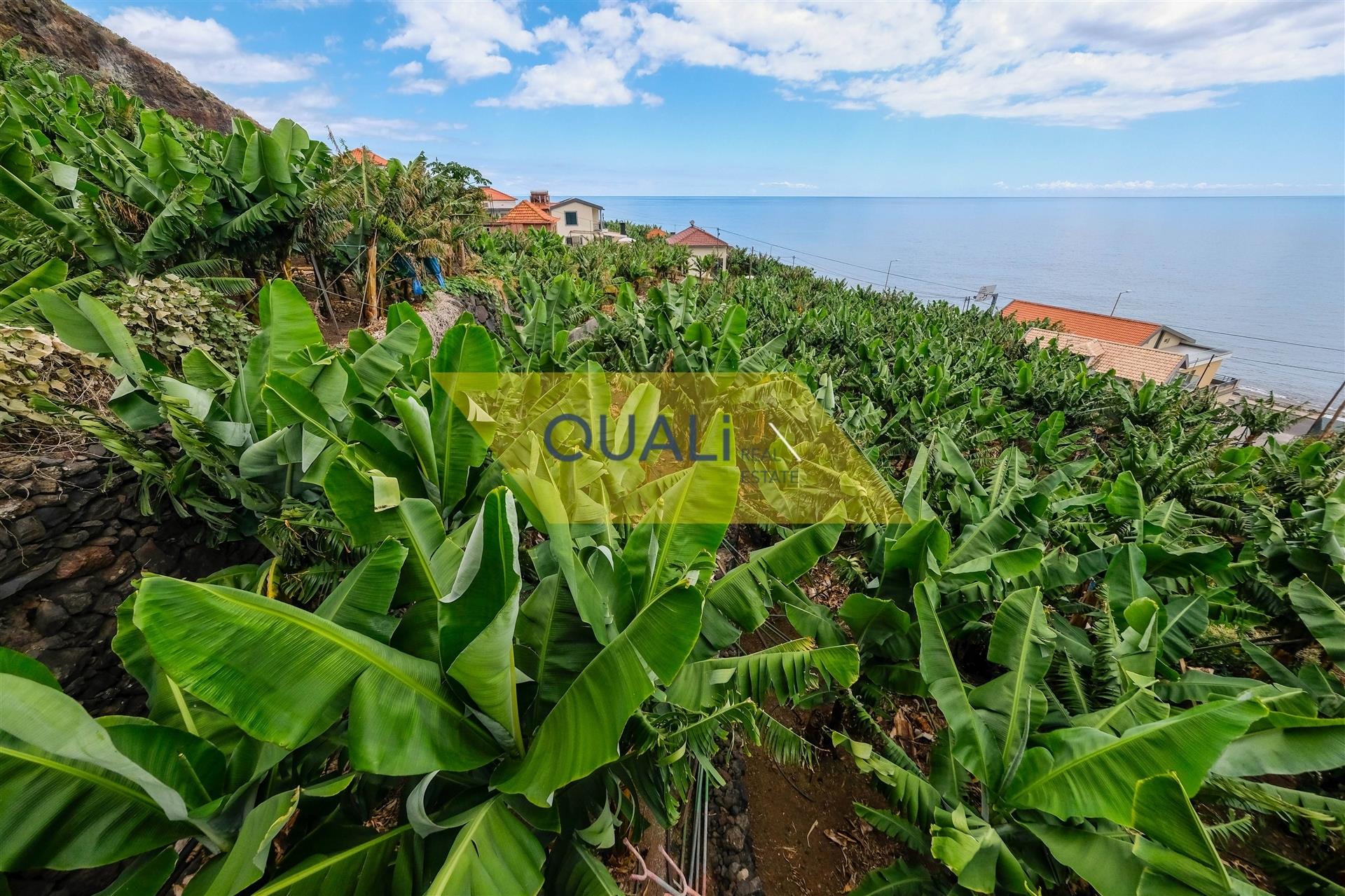 Two Seafront Villas in Madalena do Mar, Ponta do Sol