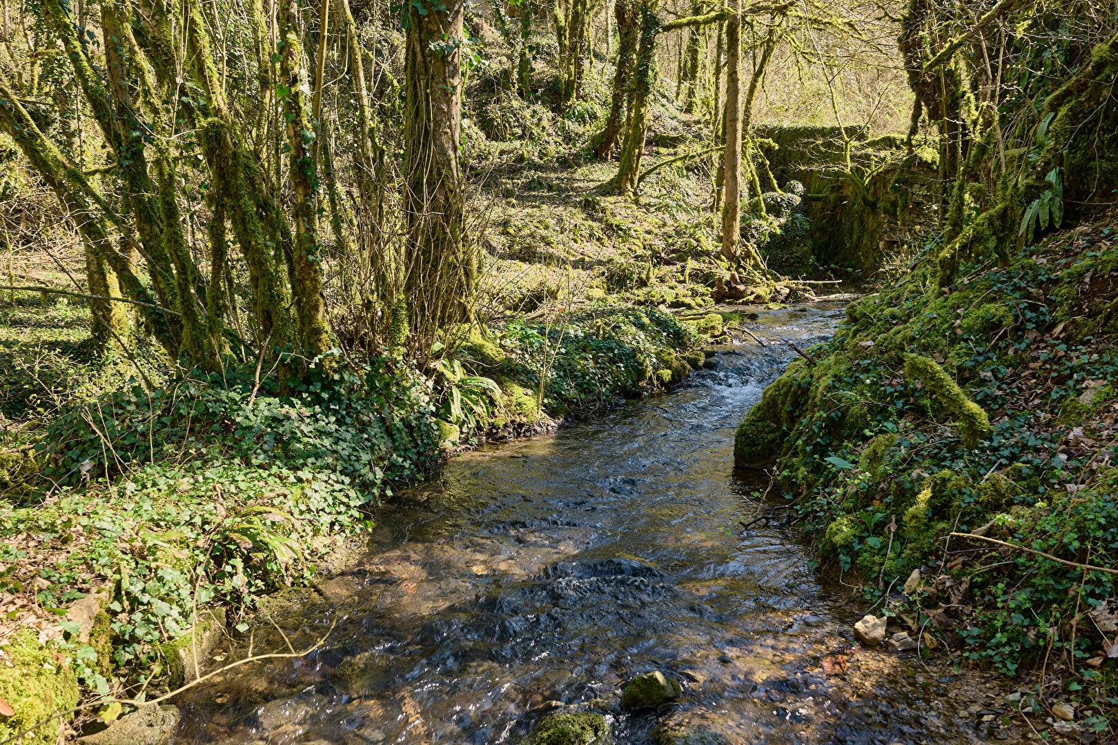 Ancien moulin restauré près de Saint-Amour