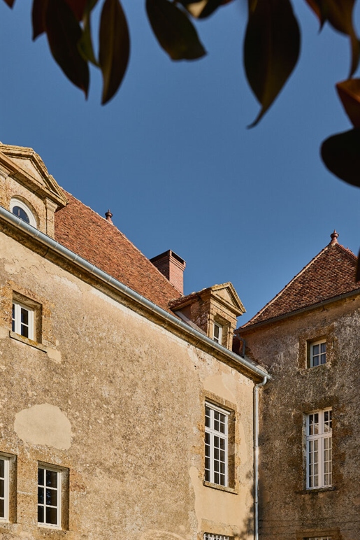 Château Moissy Moulinot 11 room(s) 437.5 m2