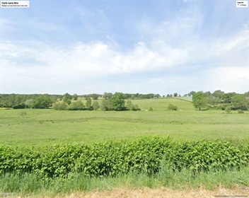 Free Agricultural Land Of Approximately 9 Hectares.