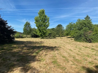 Large semi-serviced wooded building plot.