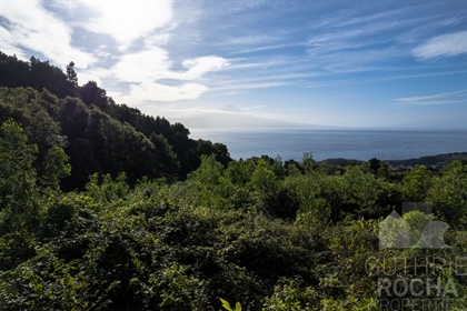 Land for housing overlooking the island of Pico