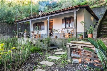 Rustic Elegance: A Fireside Retreat in a Charming 2-Bed Country Home located in São Roque do Faial, 