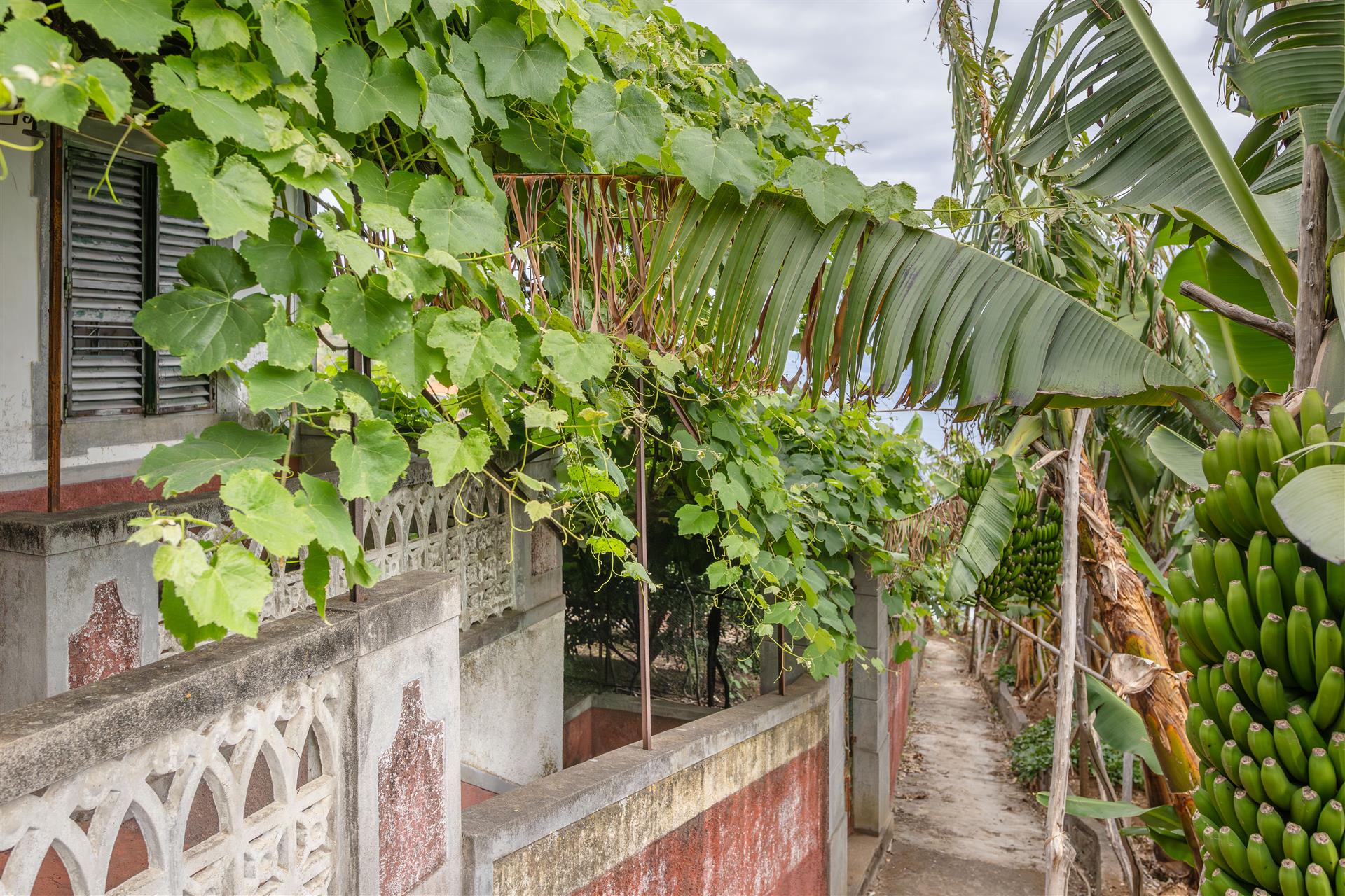Spectacular Plot with Sea View and Excellent Sun Exposure – Lombo do Doutor, Calheta