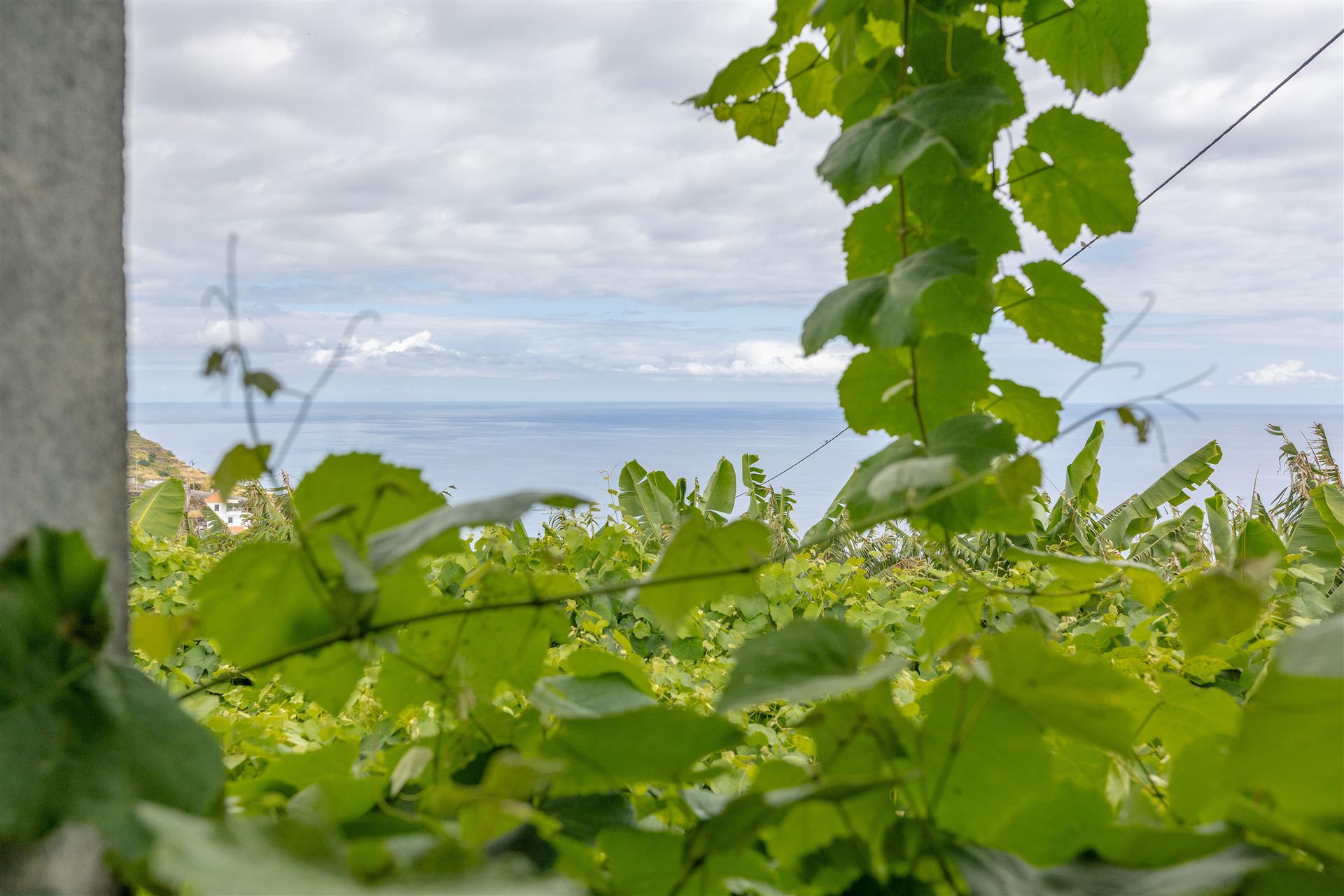 Spectacular Plot with Sea View and Excellent Sun Exposure – Lombo do Doutor, Calheta