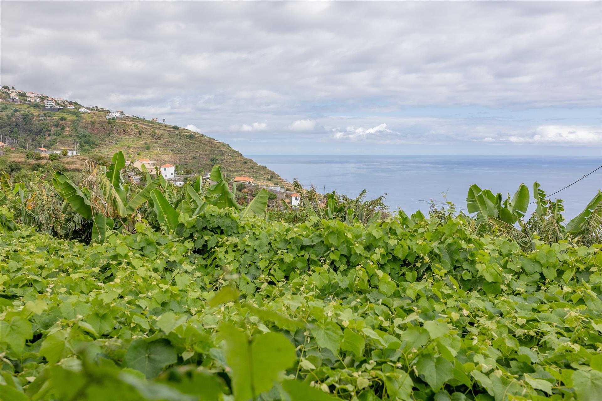Spectacular Plot with Sea View and Excellent Sun Exposure – Lombo do Doutor, Calheta
