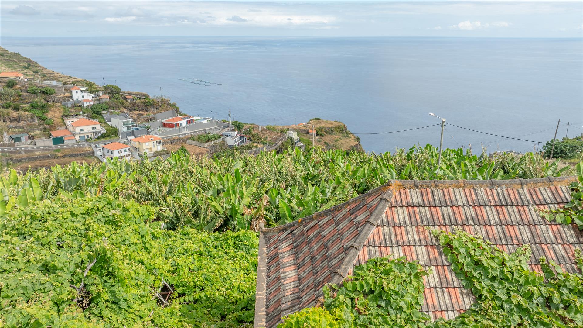 Spectacular Plot with Sea View and Excellent Sun Exposure – Lombo do Doutor, Calheta