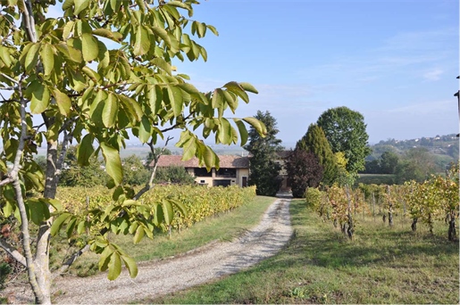 Oude boerderij met wijngaard ca. 5 hectare