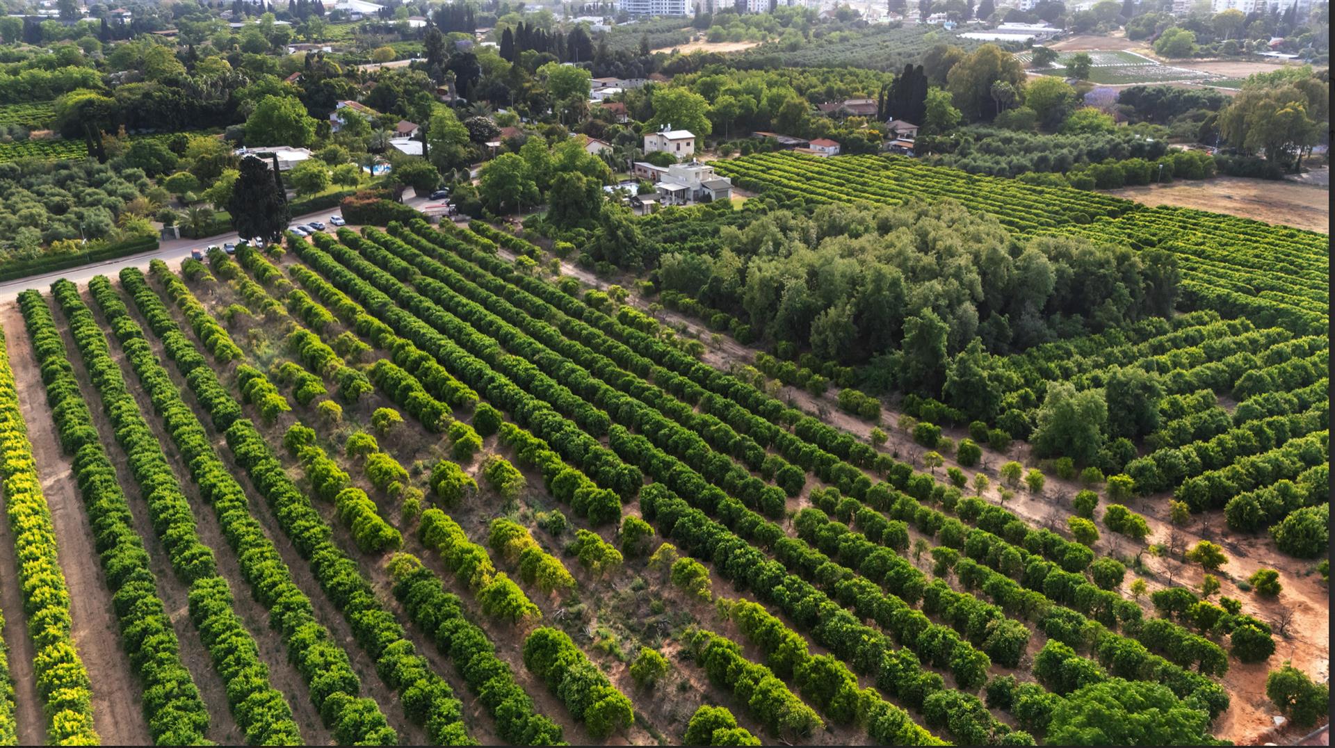 Villa + Plot Of Land - Private- Moshav Yarkona