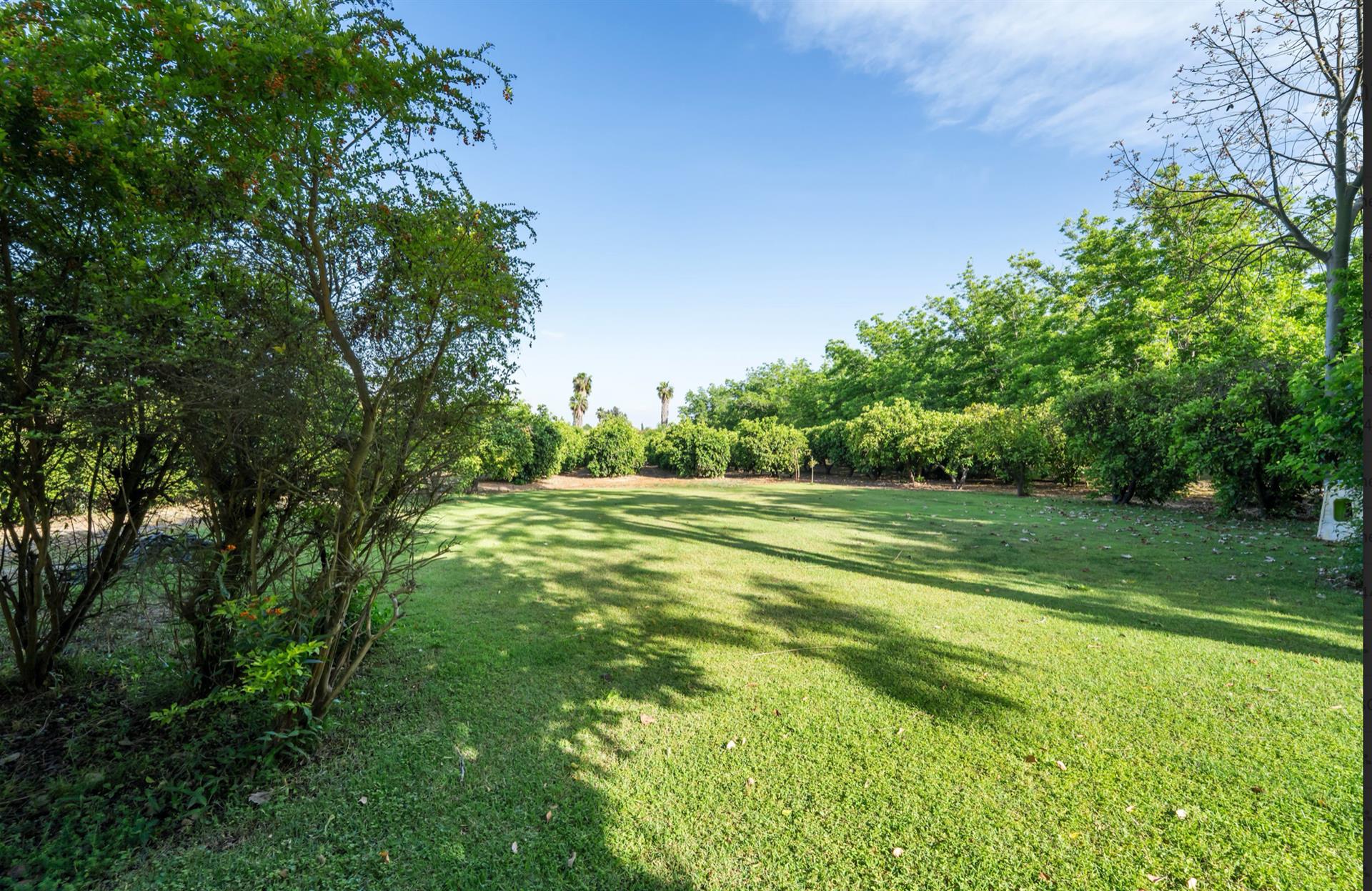 Villa + Plot Of Land - Private- Moshav Yarkona