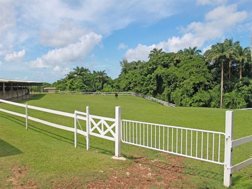 Lion Castle Plantation House