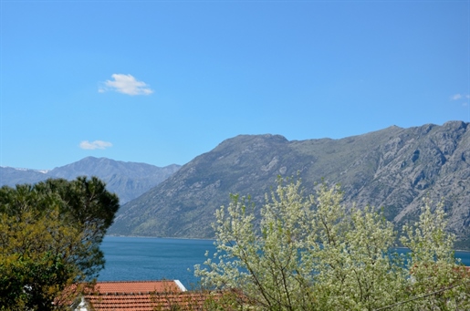 Apartments in six apartment house in Kotor