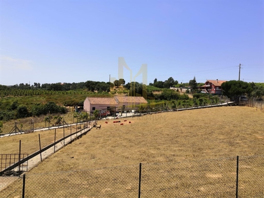 Excellent Villa / Farm with a land of 52,000 m2, with a front of 300 m to main road