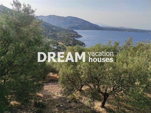 (For Sale) Land Agricultural Land || Zakynthos (Zante)/Laganas - 9.253 Sq.m, 320.000€