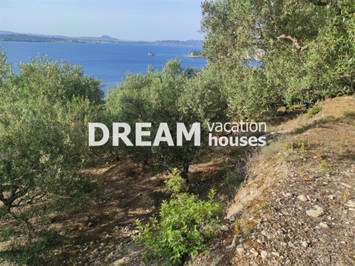 (For Sale) Land Agricultural Land || Zakynthos (Zante)/Laganas - 9.253 Sq.m, 320.000€