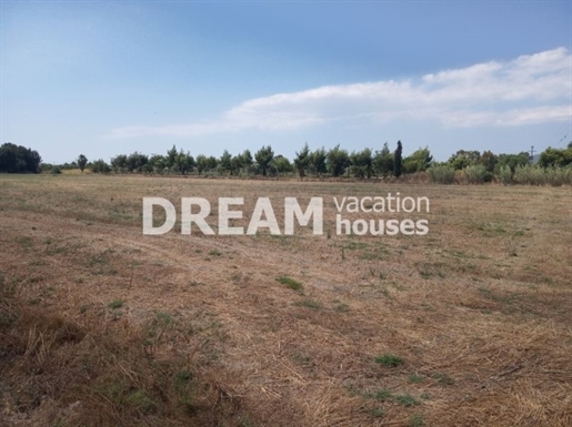 (Zu verkaufen) Nutzbares Grundstück || Zakynthos/Präfektur Laganas - 9.406 qm, 200.000€