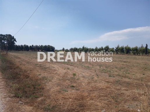 (For Sale) Land Agricultural Land || Zakynthos (Zante)/Laganas - 9.406 Sq.m, 200.000€