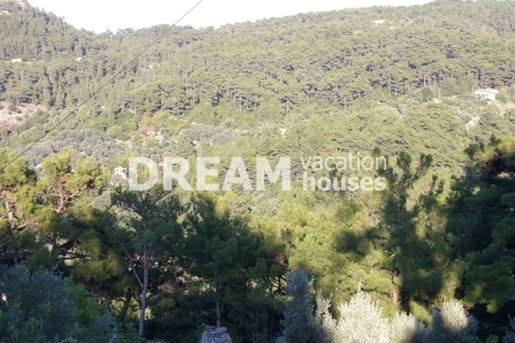 (For Sale) Land Plot || Samos/Ikaria-Raches - 5.062 Sq.m, 350.000€