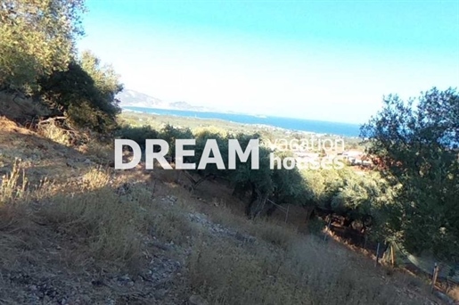 (For Sale) Land Agricultural Land || Zakynthos (Zante)/Laganas - 2.754 Sq.m, 90.000€