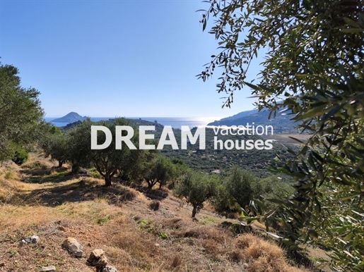(For Sale) Land Agricultural Land || Zakynthos (Zante)/Laganas - 14.812 Sq.m, 550.000€