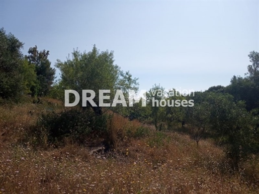 (For Sale) Land Plot || Zakynthos (Zante)/Arkadi - 4.200 Sq.m, 320.000€