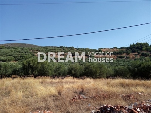 (Zu verkaufen) Nutzbares Grundstück || Zakynthos/Präfektur Laganas - 49.000 qm, 6.000.000€