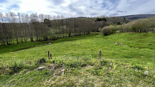 House for sale on 6 966 m² of land at the entrance to a village of the Morvan